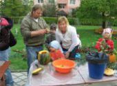dýňování 2010