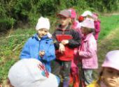 Školka v přírodě 2011
