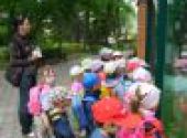 ZOO Hodonín - Berušky a Koťátka