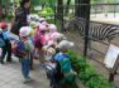 ZOO Hodonín - Berušky a Koťátka