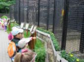 ZOO Hodonín - Berušky a Koťátka