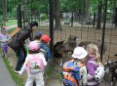 ZOO Hodonín - Berušky a Koťátka