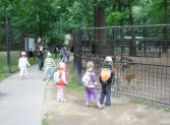 ZOO Hodonín - Berušky a Koťátka