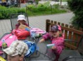 ZOO Hodonín - Berušky a Koťátka