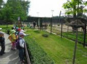 ZOO Hodonín - Berušky a Koťátka