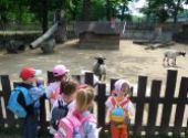 ZOO Hodonín - Berušky a Koťátka