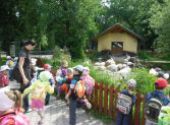ZOO Hodonín - Berušky a Koťátka