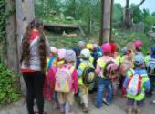 ZOO Hodonín - Berušky a Koťátka