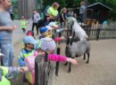 ZOO Hodonín - Berušky a Koťátka
