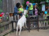 ZOO Hodonín - Berušky a Koťátka