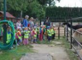 ZOO Hodonín - Berušky a Koťátka
