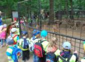 ZOO Hodonín - Berušky a Koťátka