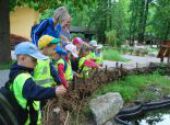 ZOO Hodonín - Berušky a Koťátka