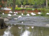 Výlet do ZOO Hodonín