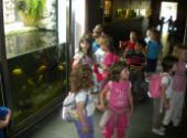 Výlet do ZOO Hodonín