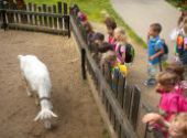 Výlet do ZOO Hodonín