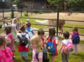 Výlet do ZOO Hodonín