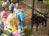 Výlet do ZOO Hodonín