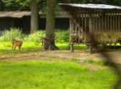 Výlet do ZOO Hodonín