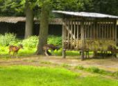 Výlet do ZOO Hodonín