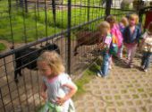 Výlet do ZOO Hodonín