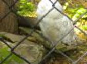 Výlet do ZOO Hodonín