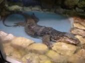 Výlet do ZOO Hodonín