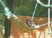 Výlet do ZOO Hodonín